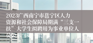 2023广西南宁市邕宁区人力资源和社会保障局期满“三支一扶”大学生拟聘用为事业单位人员公示（第一批）