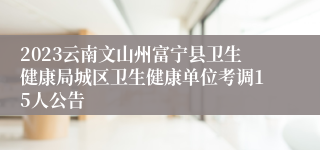 2023云南文山州富宁县卫生健康局城区卫生健康单位考调15人公告