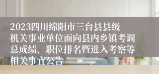 2023四川绵阳市三台县县级机关事业单位面向县内乡镇考调总成绩、职位排名暨进入考察等相关事宜公告