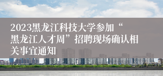 2023黑龙江科技大学参加“黑龙江人才周”招聘现场确认相关事宜通知