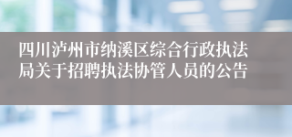 四川泸州市纳溪区综合行政执法局关于招聘执法协管人员的公告