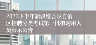 2023下半年新疆维吾尔自治区招聘分类考试第一批拟聘用人员公示公告