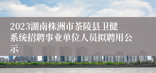2023湖南株洲市茶陵县卫健系统招聘事业单位人员拟聘用公示