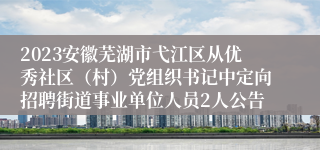 2023安徽芜湖市弋江区从优秀社区（村）党组织书记中定向招聘街道事业单位人员2人公告