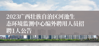 2023广西壮族自治区河池生态环境监测中心编外聘用人员招聘1人公告