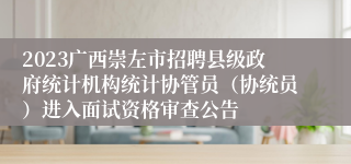 2023广西崇左市招聘县级政府统计机构统计协管员（协统员）进入面试资格审查公告