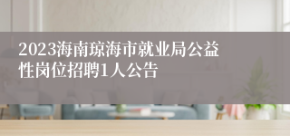 2023海南琼海市就业局公益性岗位招聘1人公告