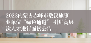 2023内蒙古赤峰市敖汉旗事业单位“绿色通道” 引进高层次人才进行面试公告