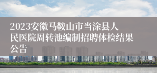 2023安徽马鞍山市当涂县人民医院周转池编制招聘体检结果公告