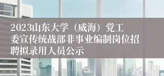 2023山东大学（威海）党工委宣传统战部非事业编制岗位招聘拟录用人员公示