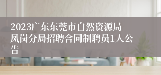 2023广东东莞市自然资源局凤岗分局招聘合同制聘员1人公告