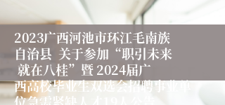 2023广西河池市环江毛南族自治县  关于参加“职引未来 就在八桂”暨 2024届广西高校毕业生双选会招聘事业单位急需紧缺人才19人公告