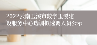 2022云南玉溪市数字玉溪建设服务中心选调拟选调人员公示