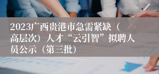 2023广西贵港市急需紧缺（高层次）人才“云引智”拟聘人员公示（第三批）