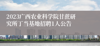 2023广西农业科学院甘蔗研究所丁当基地招聘1人公告