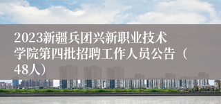2023新疆兵团兴新职业技术学院第四批招聘工作人员公告（48人）