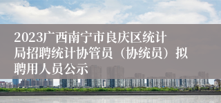 2023广西南宁市良庆区统计局招聘统计协管员（协统员）拟聘用人员公示