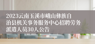 2023云南玉溪市峨山彝族自治县机关事务服务中心招聘劳务派遣人员30人公告