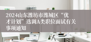 2024山东潍坊市潍城区“优才计划”选调A类职位面试有关事项通知