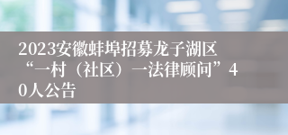 2023安徽蚌埠招募龙子湖区“一村（社区）一法律顾问”40人公告