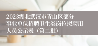 2023湖北武汉市青山区部分事业单位招聘卫生类岗位拟聘用人员公示表（第二批）