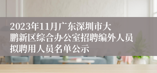 2023年11月广东深圳市大鹏新区综合办公室招聘编外人员拟聘用人员名单公示
