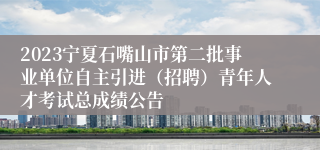 2023宁夏石嘴山市第二批事业单位自主引进（招聘）青年人才考试总成绩公告