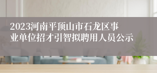 2023河南平顶山市石龙区事业单位招才引智拟聘用人员公示