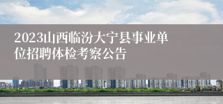 2023山西临汾大宁县事业单位招聘体检考察公告