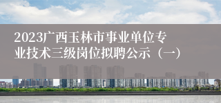 2023广西玉林市事业单位专业技术三级岗位拟聘公示（一）