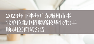 2023年下半年广东梅州市事业单位集中招聘高校毕业生(丰顺职位)面试公告