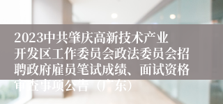 2023中共肇庆高新技术产业开发区工作委员会政法委员会招聘政府雇员笔试成绩、面试资格审查事项公告（广东）