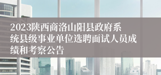2023陕西商洛山阳县政府系统县级事业单位选聘面试人员成绩和考察公告