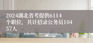 2024湖北省考提供6114个职位，共计招录公务员10457人