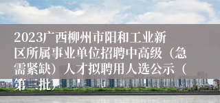 2023广西柳州市阳和工业新区所属事业单位招聘中高级（急需紧缺）人才拟聘用人选公示（第三批）