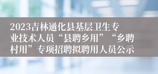2023吉林通化县基层卫生专业技术人员“县聘乡用”“乡聘村用”专项招聘拟聘用人员公示