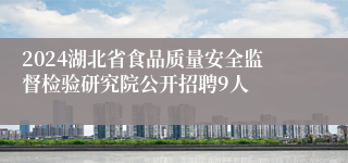 2024湖北省食品质量安全监督检验研究院公开招聘9人