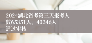 2024湖北省考第三天报考人数65351人，40246人通过审核
