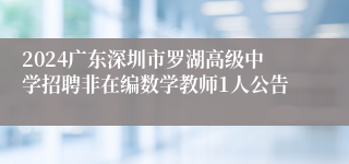 2024广东深圳市罗湖高级中学招聘非在编数学教师1人公告