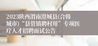 2023陕西渭南澄城县(合韩城市)“县管镇聘村用”专项医疗人才招聘面试公告