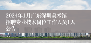 2024年1月广东深圳美术馆招聘专业技术岗位工作人员1人公告