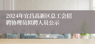 2024年宜昌高新区总工会招聘协理员拟聘人员公示