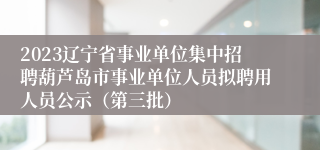 2023辽宁省事业单位集中招聘葫芦岛市事业单位人员拟聘用人员公示（第三批）