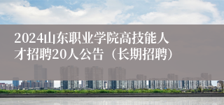 2024山东职业学院高技能人才招聘20人公告（长期招聘）