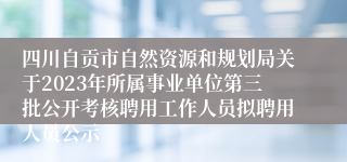 四川自贡市自然资源和规划局关于2023年所属事业单位第三批公开考核聘用工作人员拟聘用人员公示