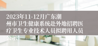2023年11-12月广东潮州市卫生健康系统赴外地招聘医疗卫生专业技术人员拟聘用人员公示
