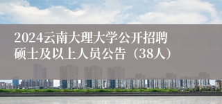 2024云南大理大学公开招聘硕士及以上人员公告（38人）