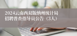 2024云南西双版纳州统计局招聘普查指导员公告（3人）