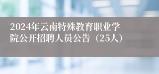 2024年云南特殊教育职业学院公开招聘人员公告（25人）