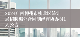 2024广西柳州市柳北区统计局招聘编外合同制经普协办员1人公告
